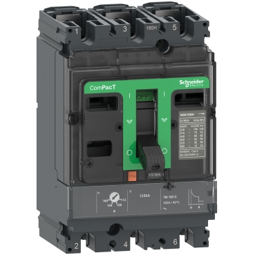 C16F3TM160 Schneider Electric