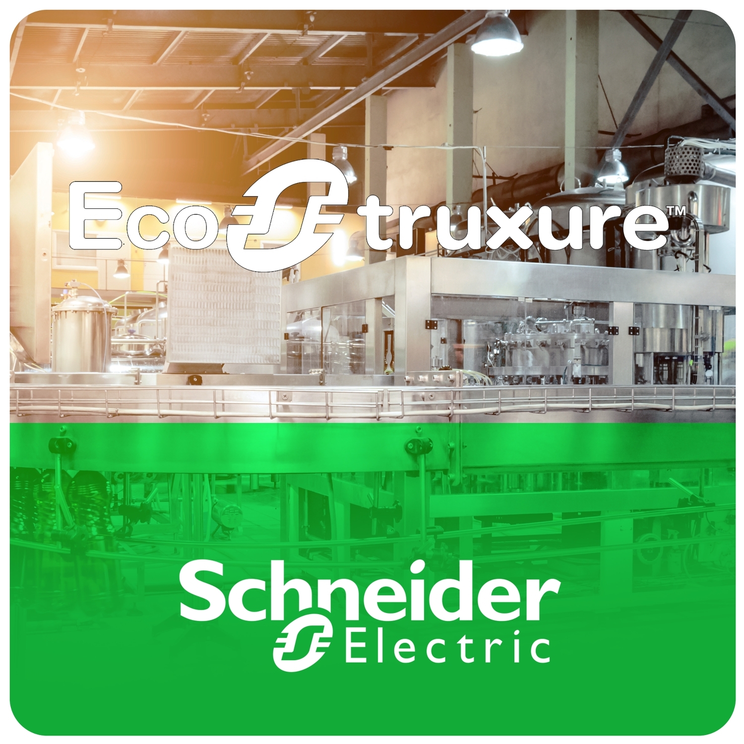 ESEEXPCZZTPAZZ Schneider Electric